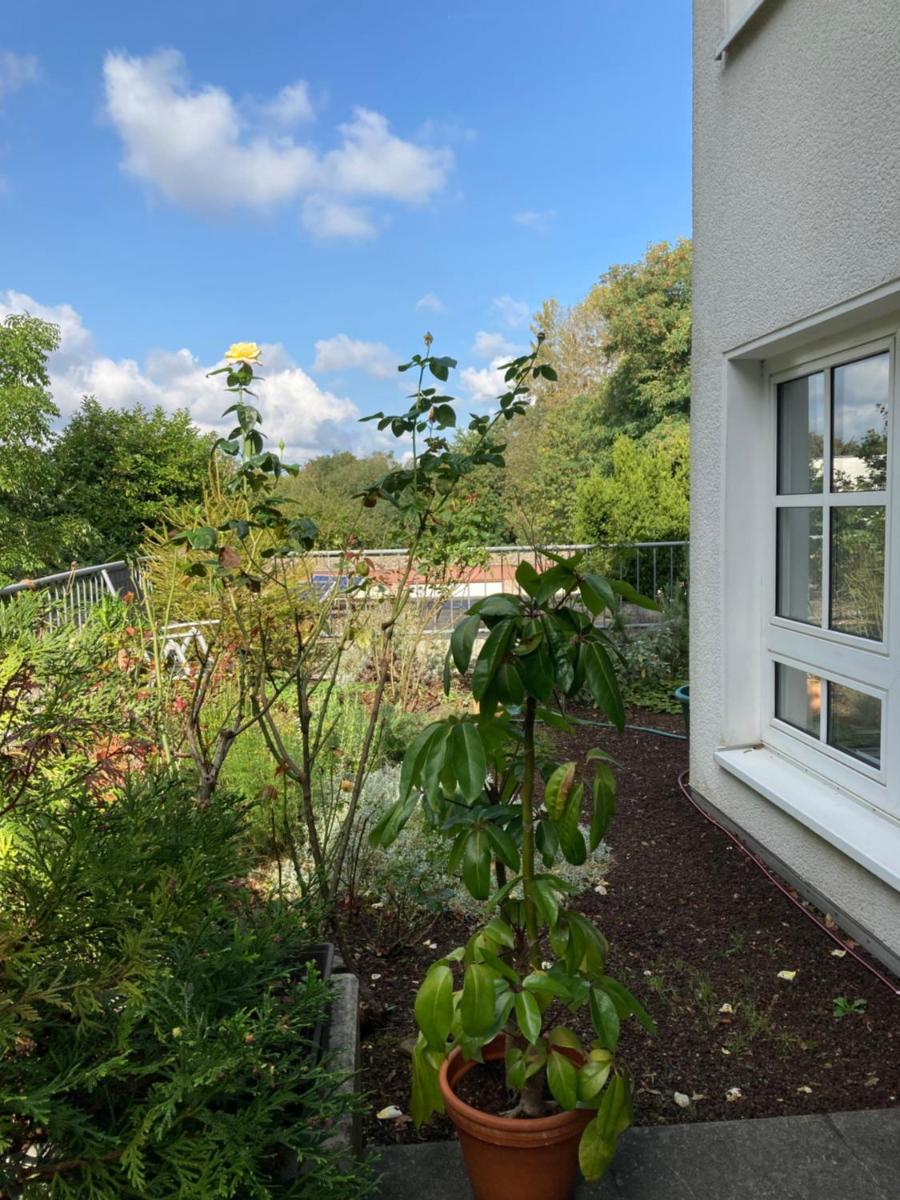 Haus am Wald - Housity