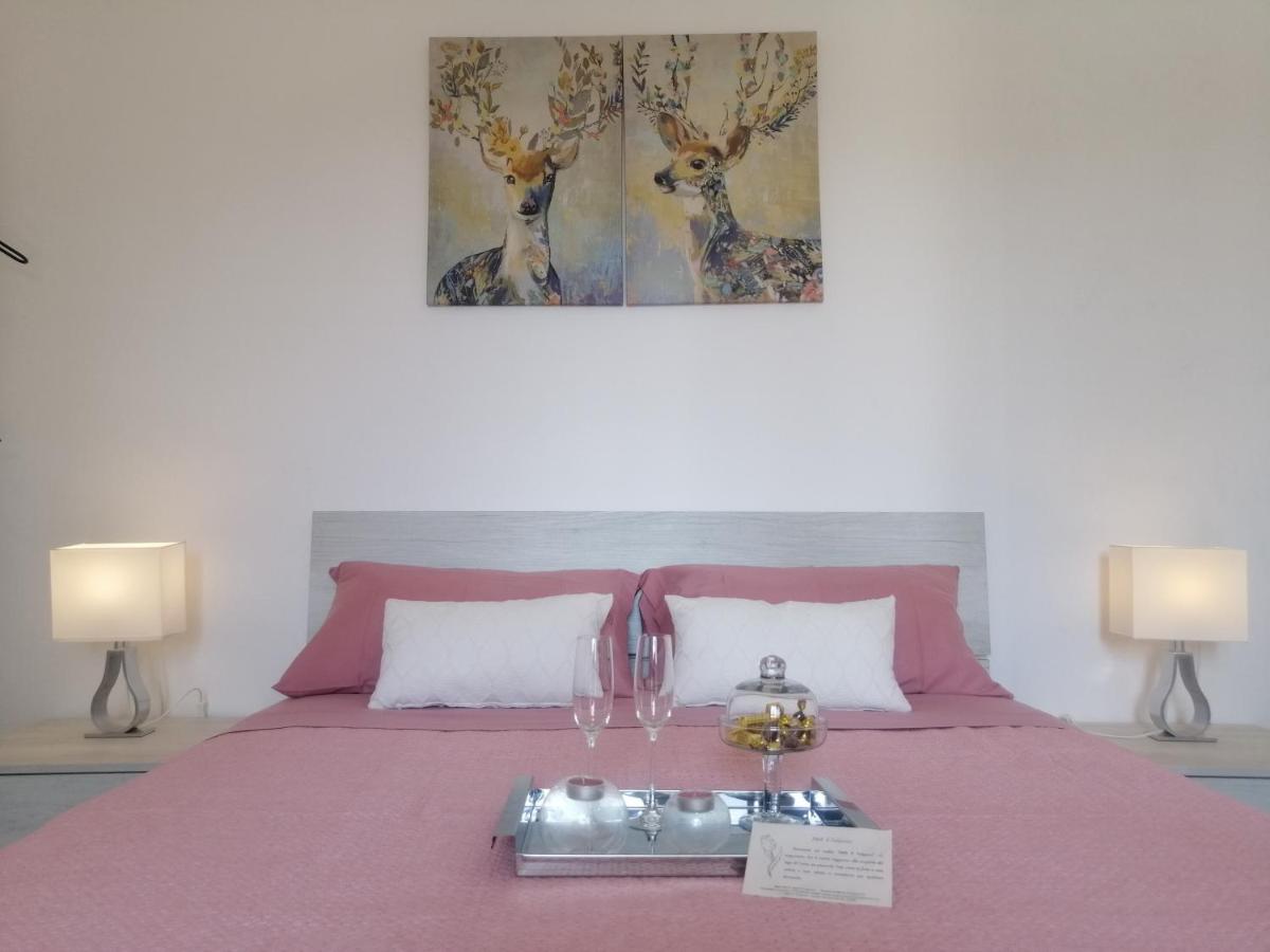B&B IL TULIPANO - Housity