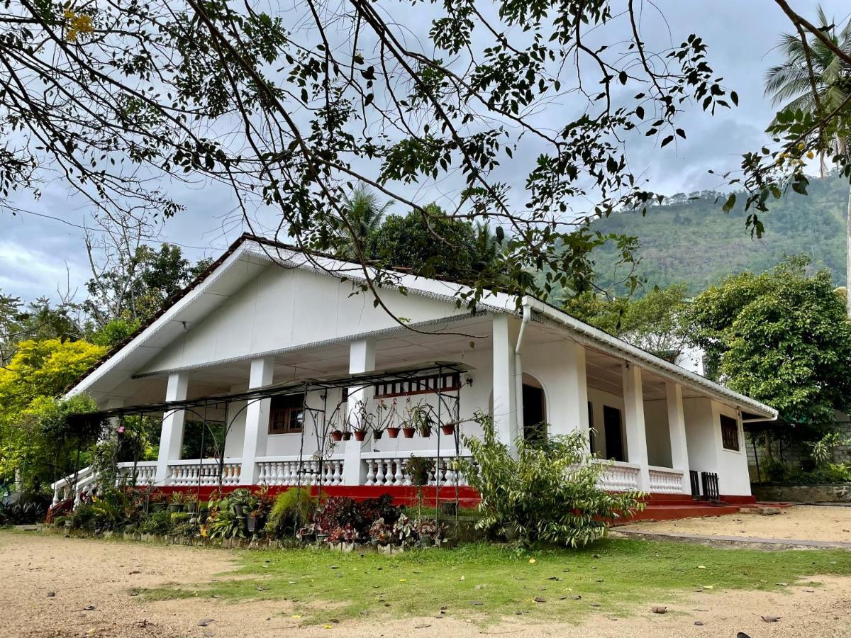 SHADEY COTTAGE - Housity