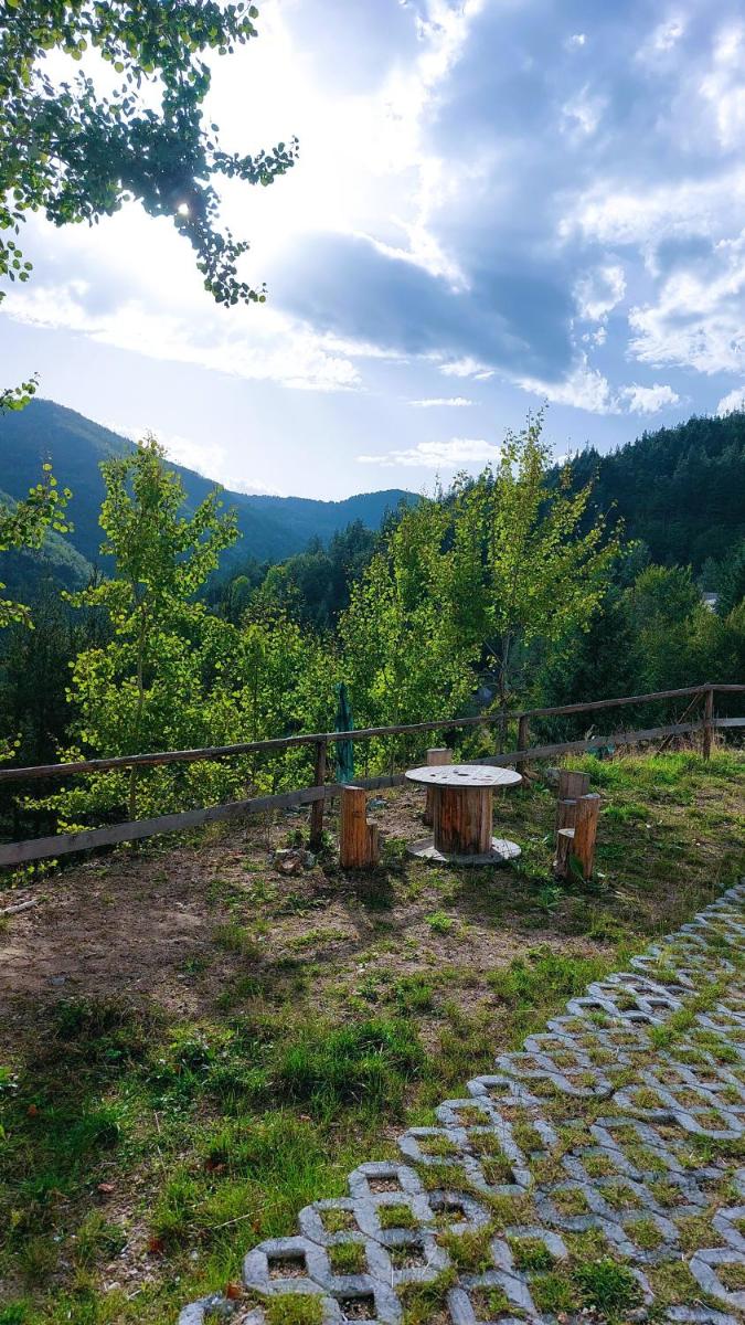 Davidkovska reka - Housity