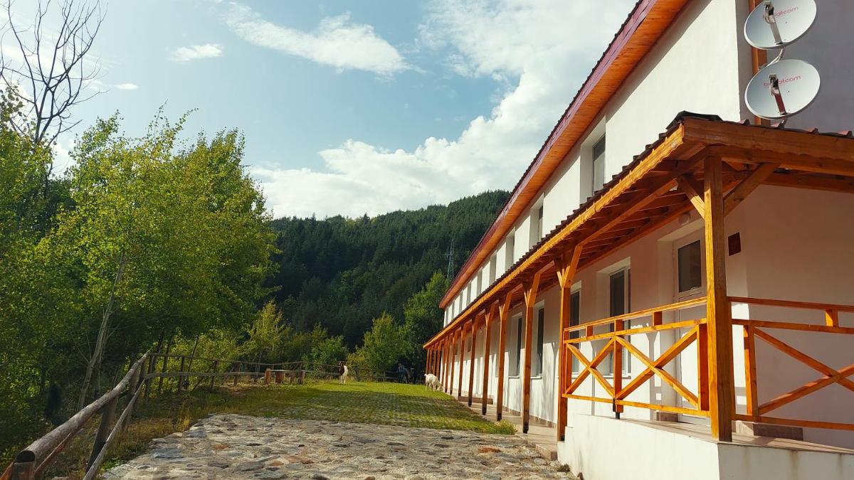 Davidkovska reka - Housity