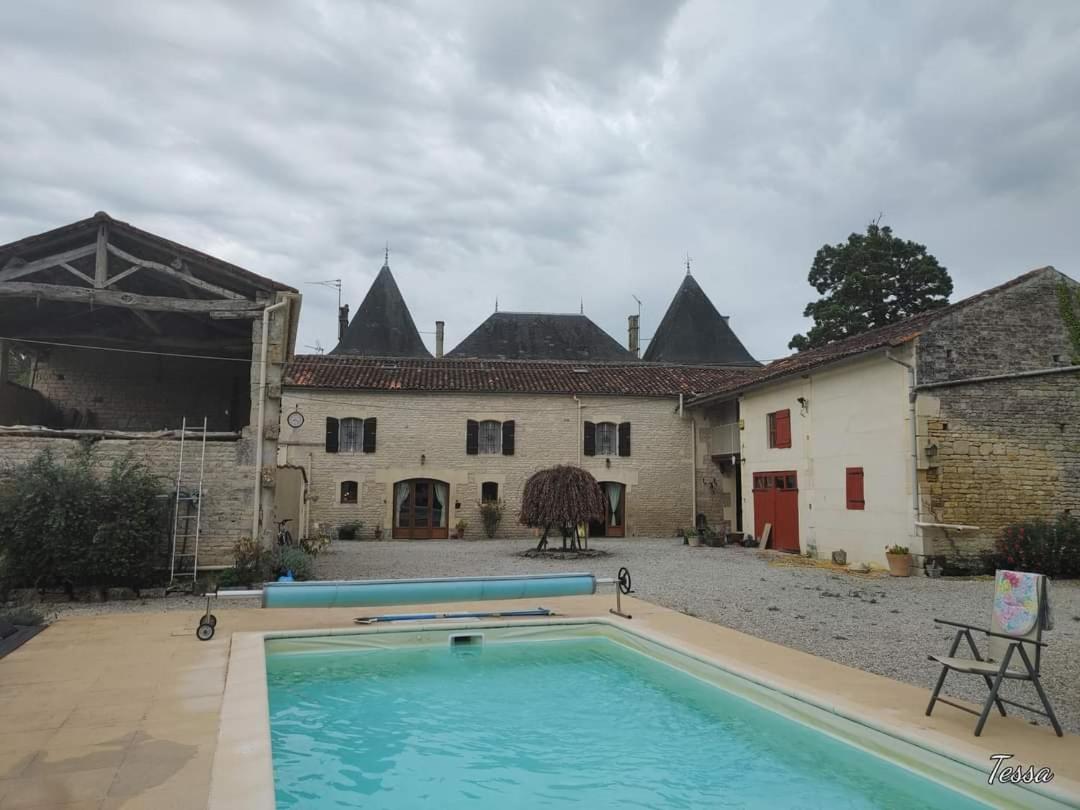 Les Cygnes Noirs - Housity