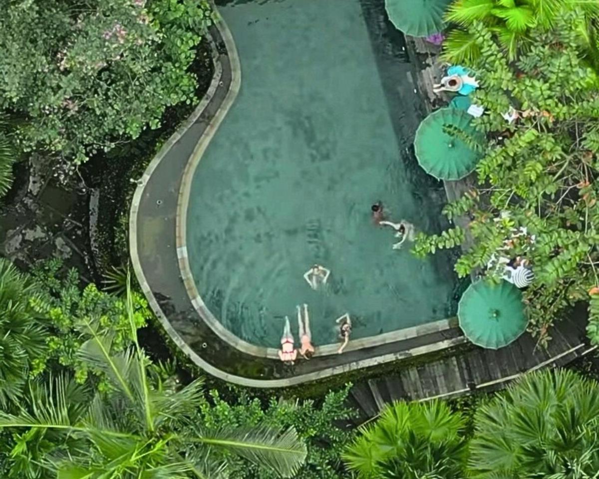 Menzel Ubud - Housity