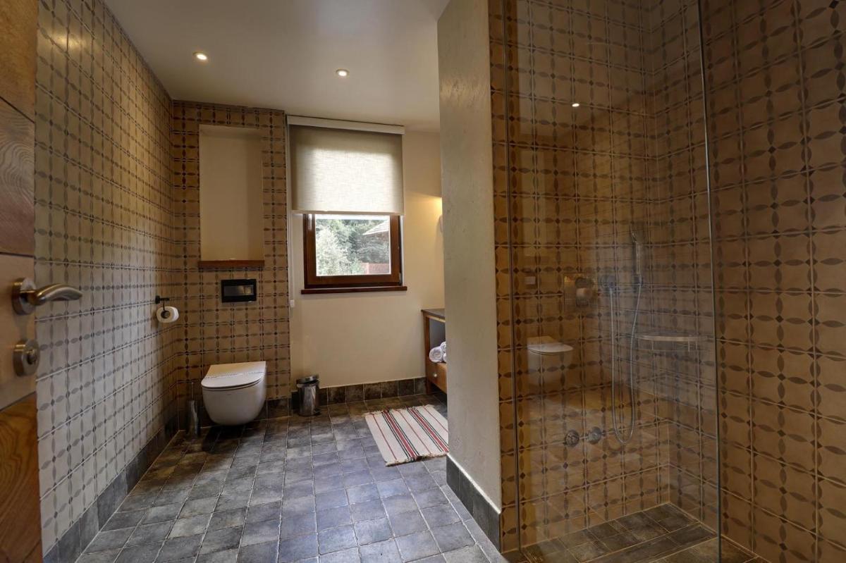 Vlasinsko jezero VILA BEST - Housity