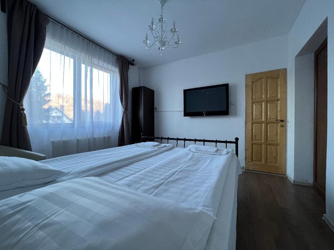Vila Codreanu - Housity