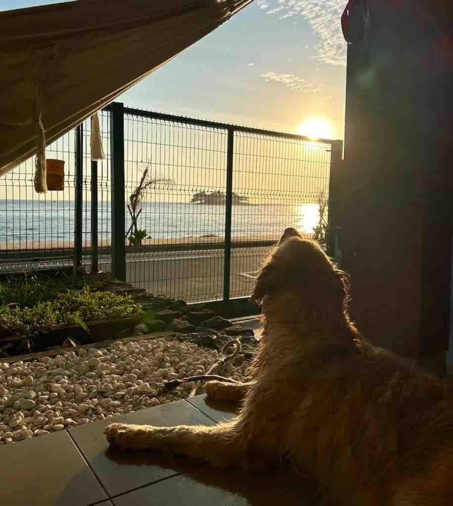 RCM Vilas - Casa das redes - Housity