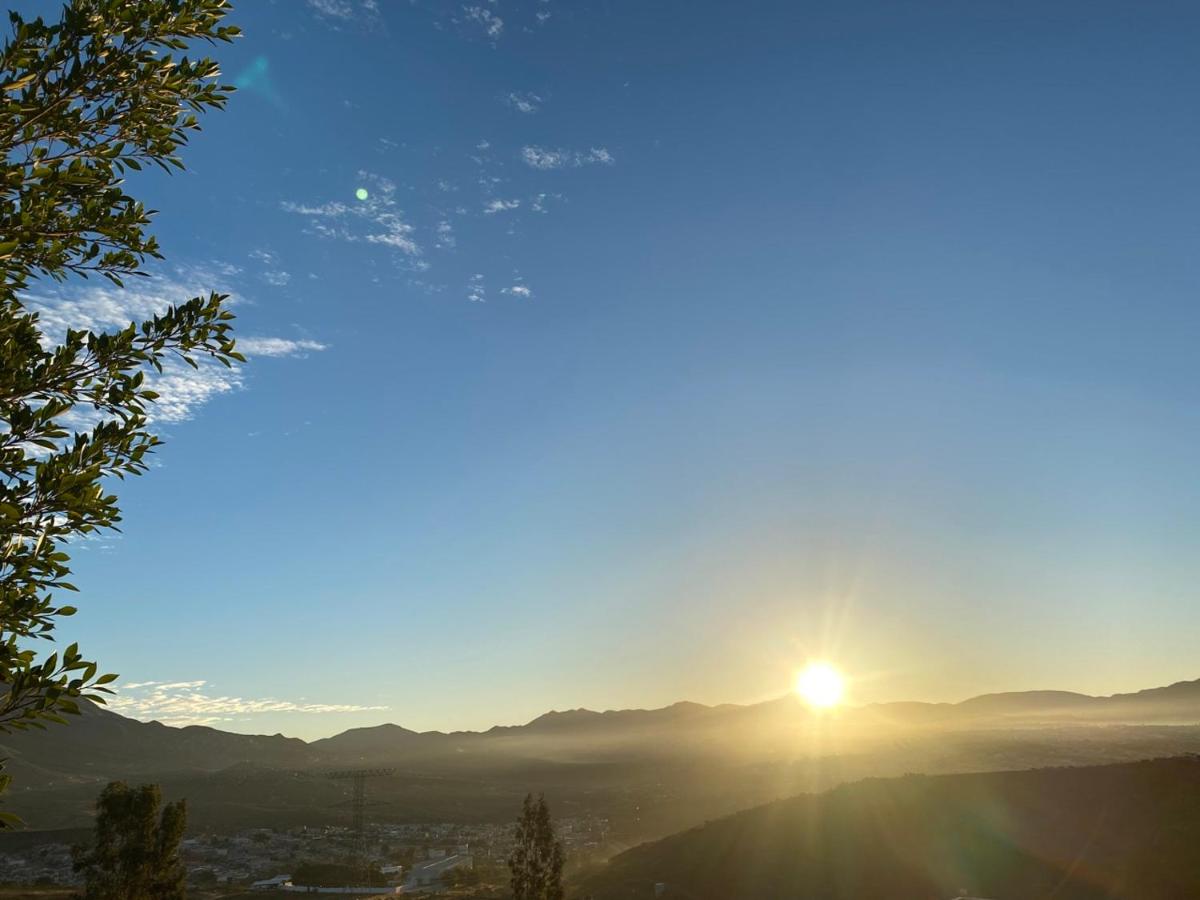 Cozy, Quiet & Pet friendly Gated Patio Studio - Housity