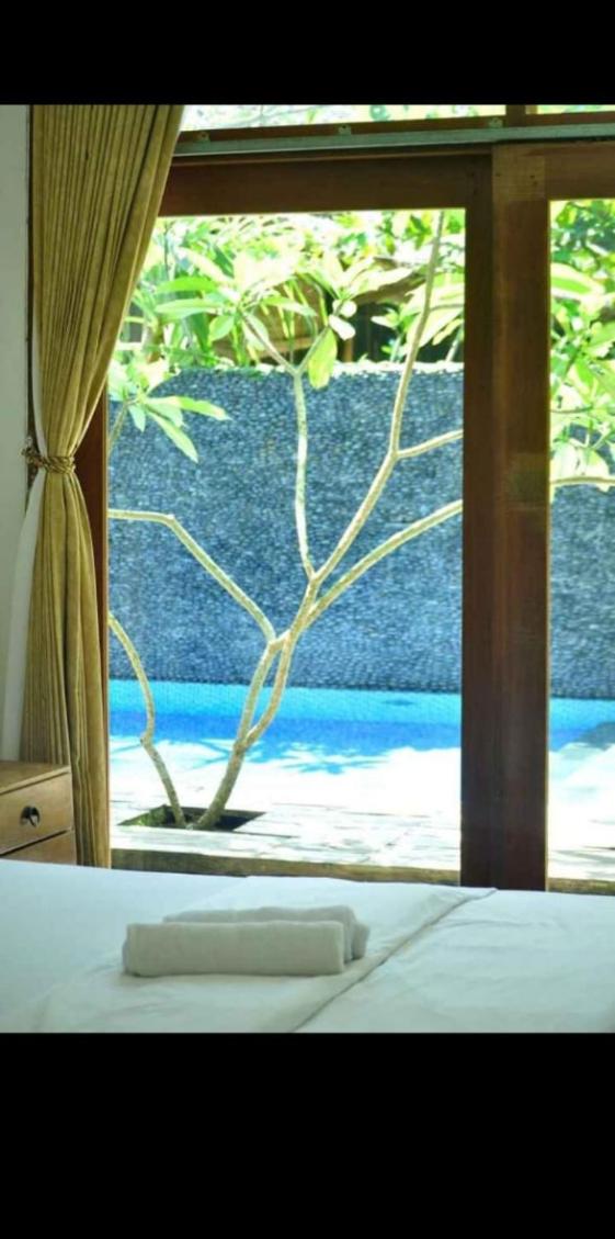 Cinde wulung bed & resto - Housity