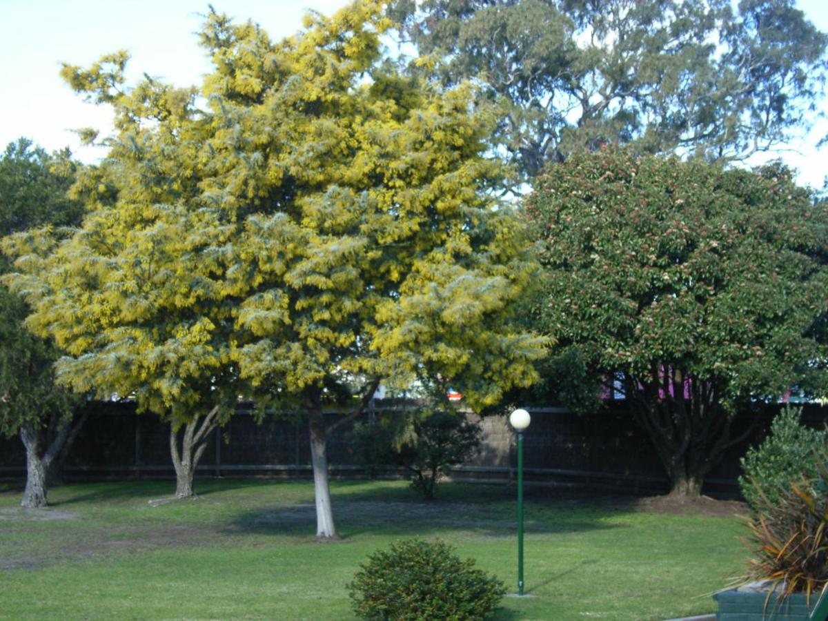 Bairnsdale Main Motel - Housity