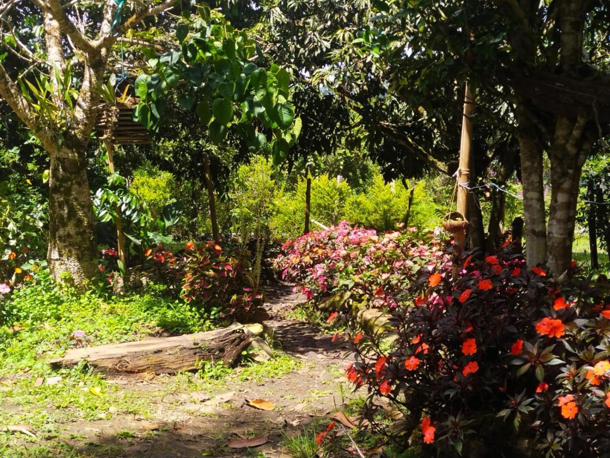 hospedaje finca el Mono - Housity