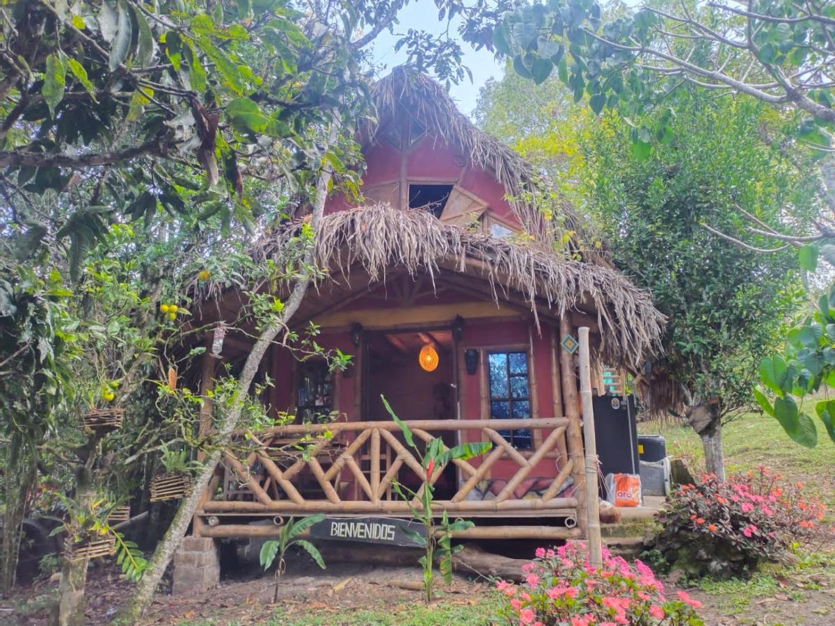 hospedaje finca el Mono - Housity