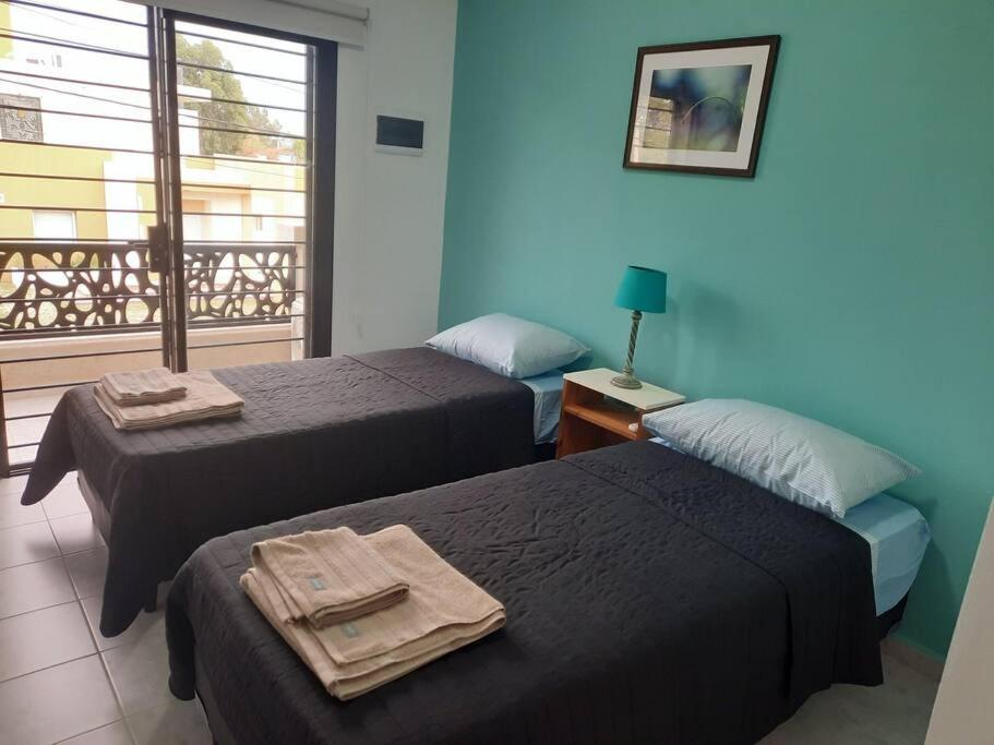 Lacus. Casas de lago. - Housity