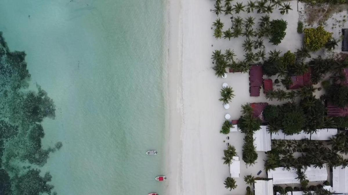 Beach Placid Resort powered by Cocotel - Housity