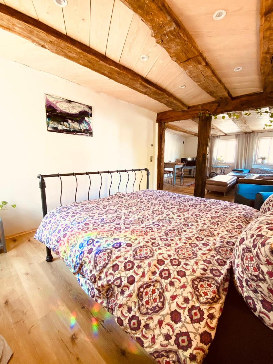 Ganze Wohnung - Erdgeschoss - sehr ruhig - Hundefreundlich - Regendusche - Bodenheizung - Küche - easy Check-in mit Schlüsselbox - Housity