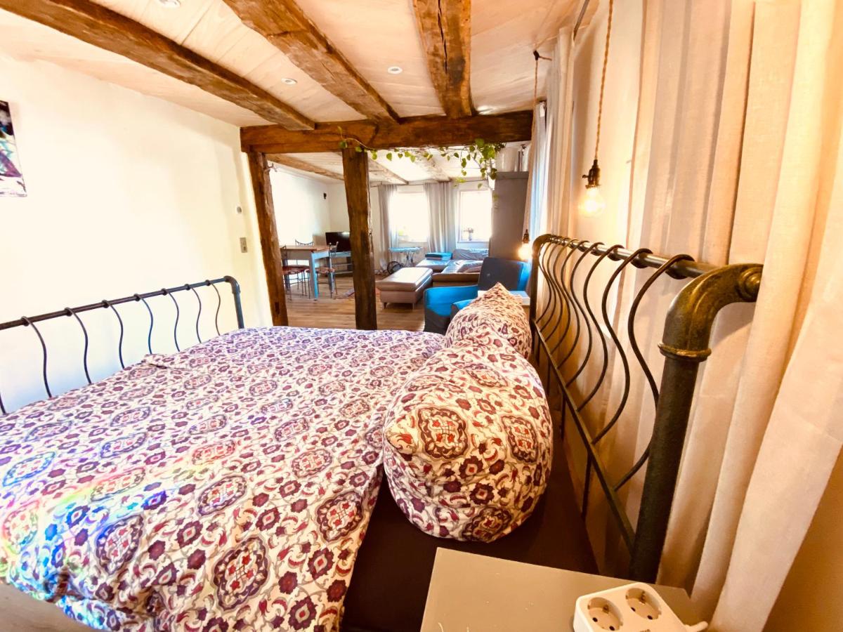 Ganze Wohnung - Erdgeschoss - sehr ruhig - Hundefreundlich - Regendusche - Bodenheizung - Küche - easy Check-in mit Schlüsselbox - Housity