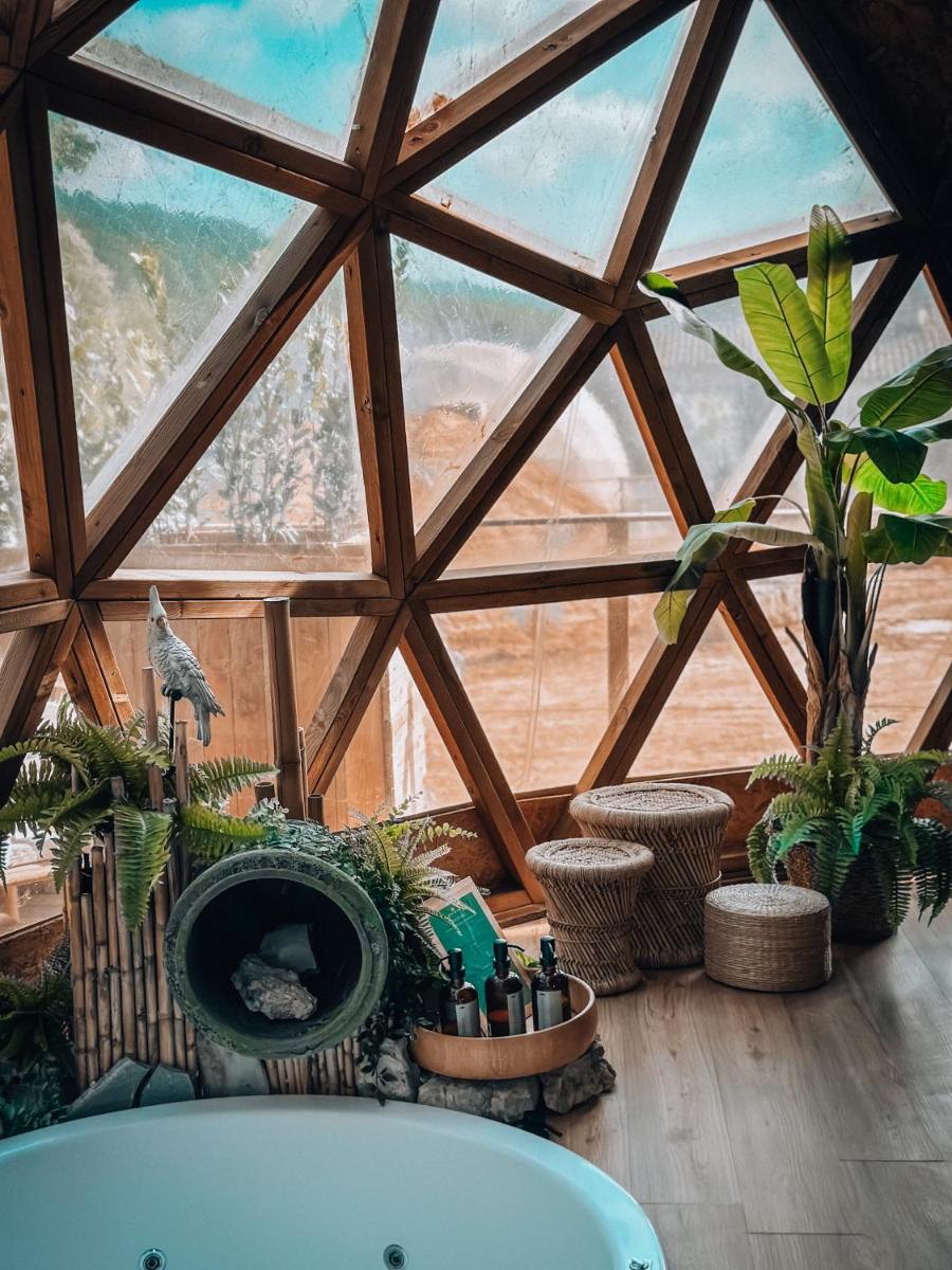 Bubble Suites - Housity