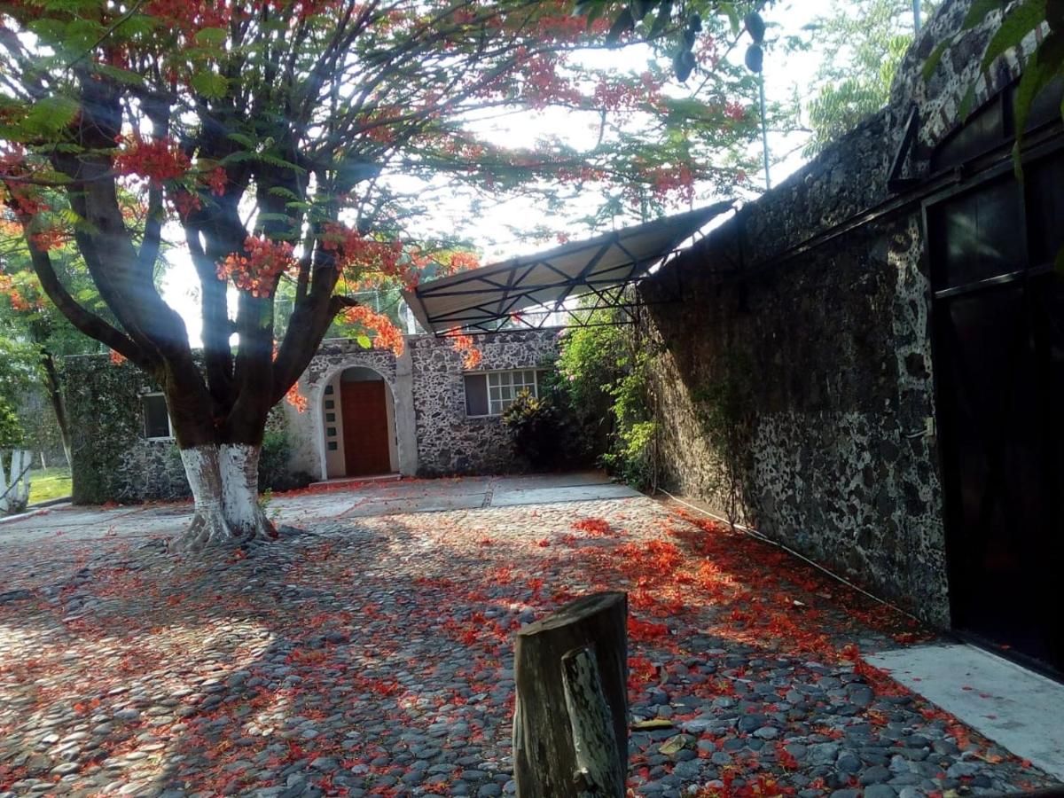 Quinta Lachaud - Housity
