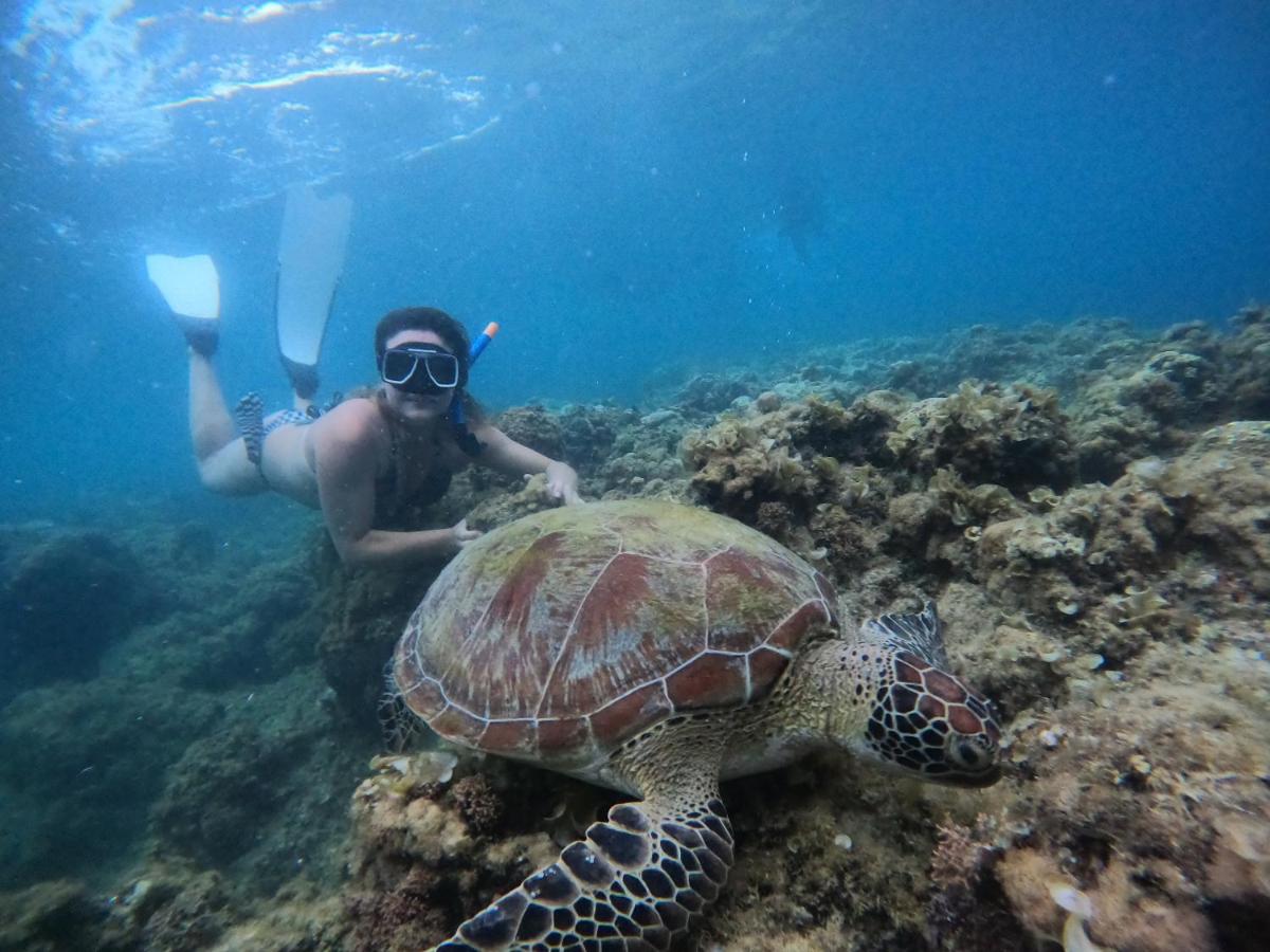 Suitetrails - Moalboal Indino's Guesthouse sardines run and sea turtle 1 minute walking distance