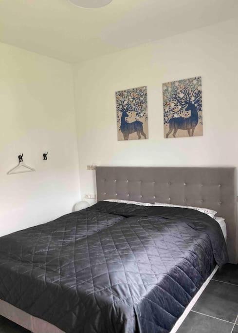 Allgäu Feeling - Housity