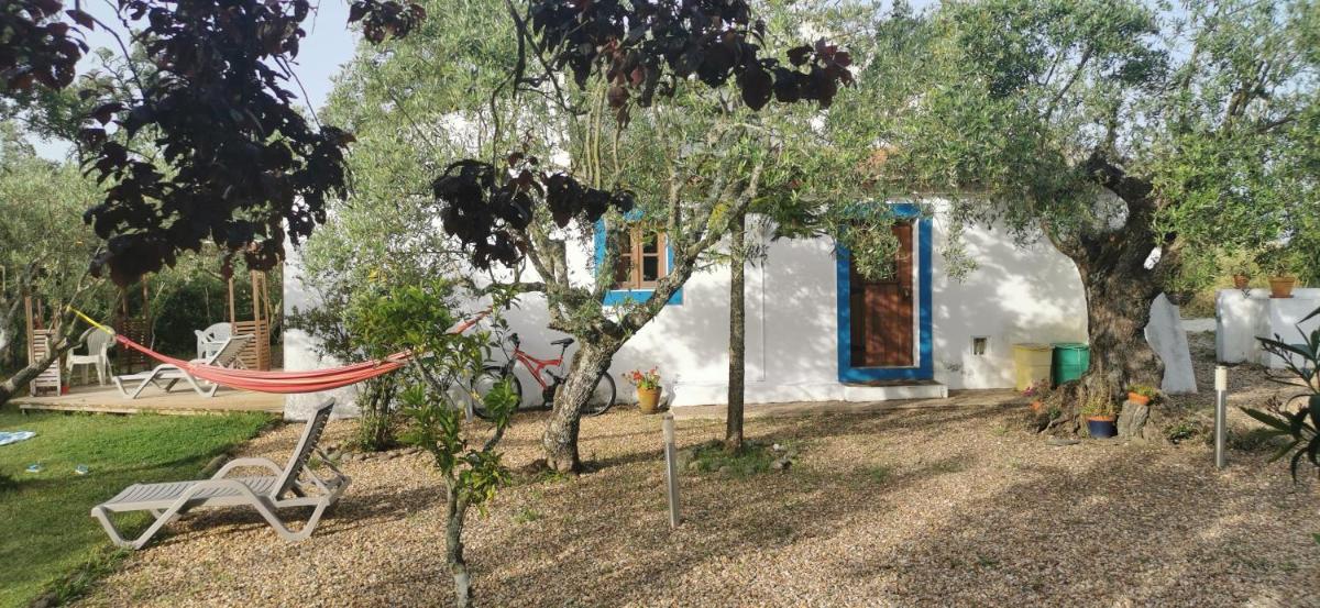 Montadinho Houses - Housity