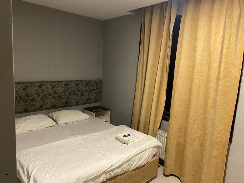 Adams suit - Housity