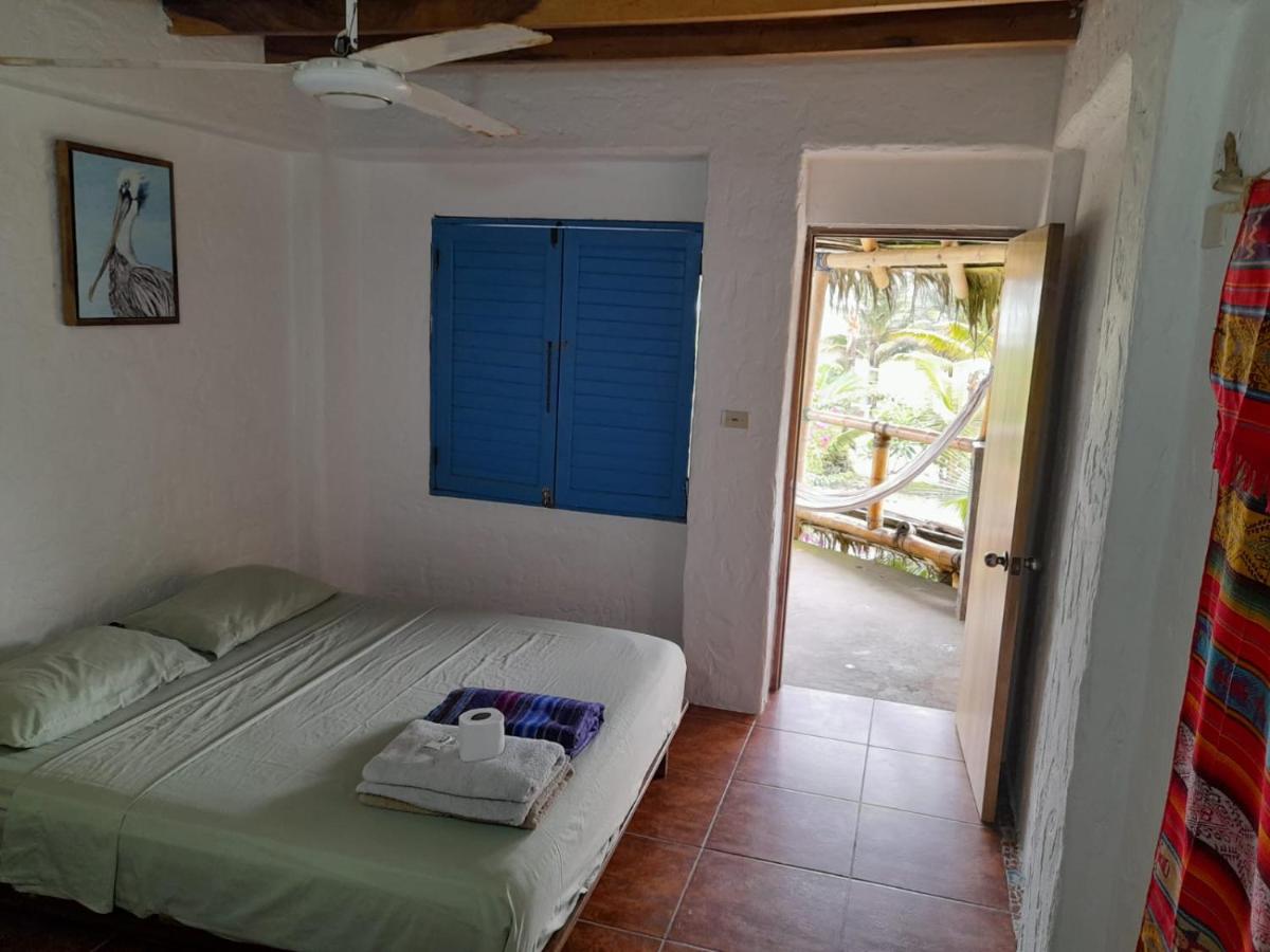 Con Todo, Canoa at the Coconut Hotel - Housity