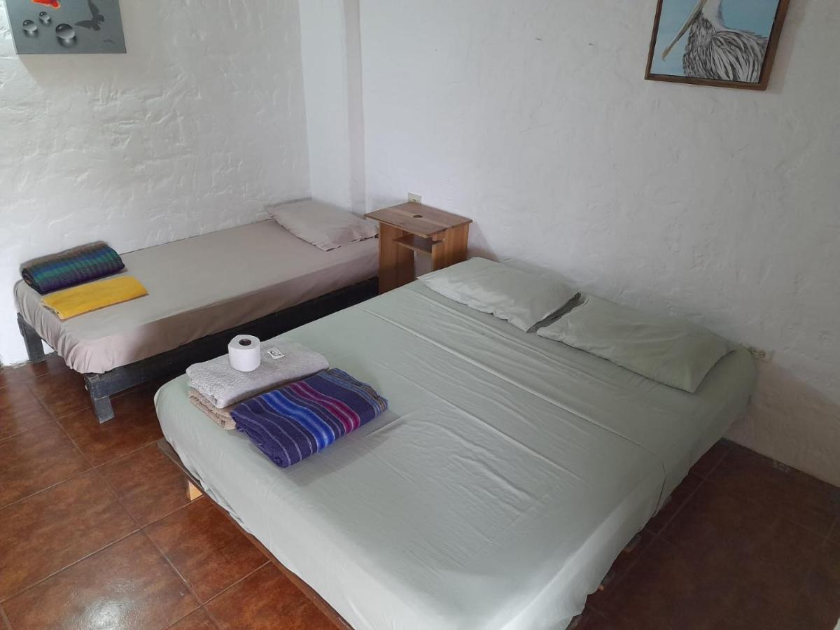 Con Todo, Canoa at the Coconut Hotel - Housity
