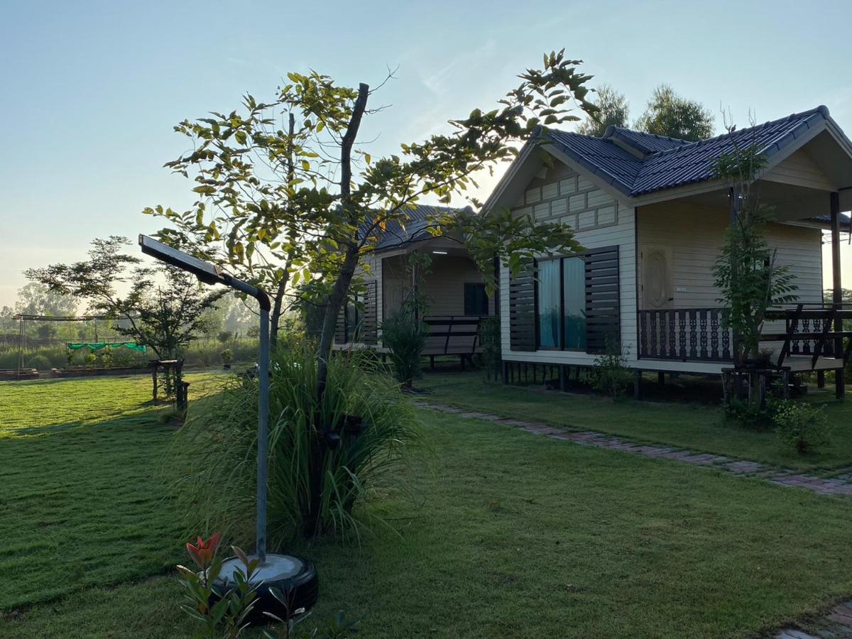 P Villa Homestay - Housity