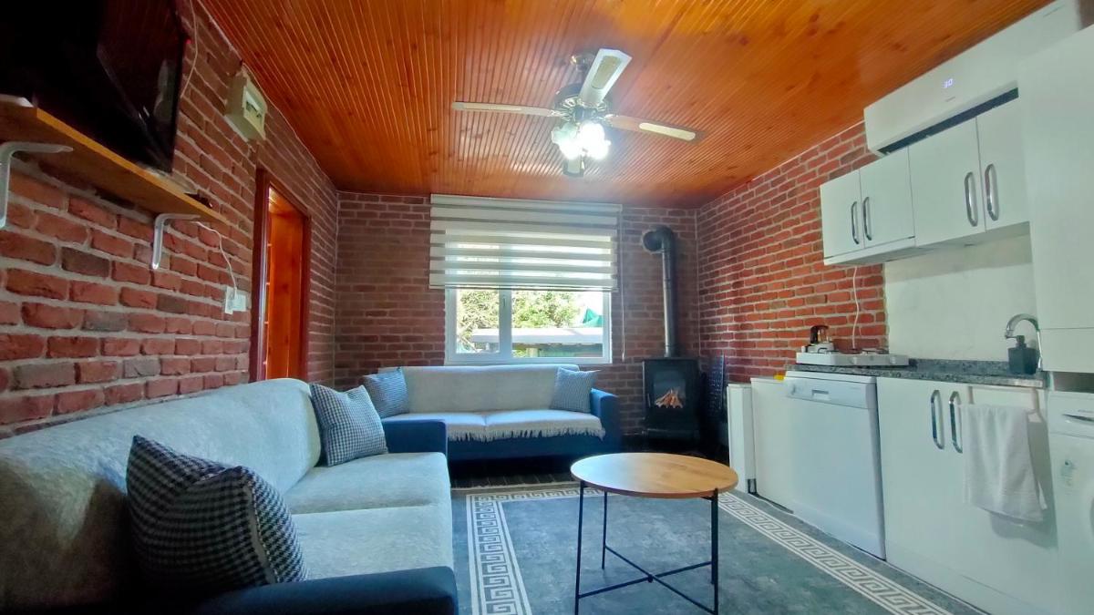 Yildiz Family Village House -?s?tmal? havuzlu Sapanca - Housity