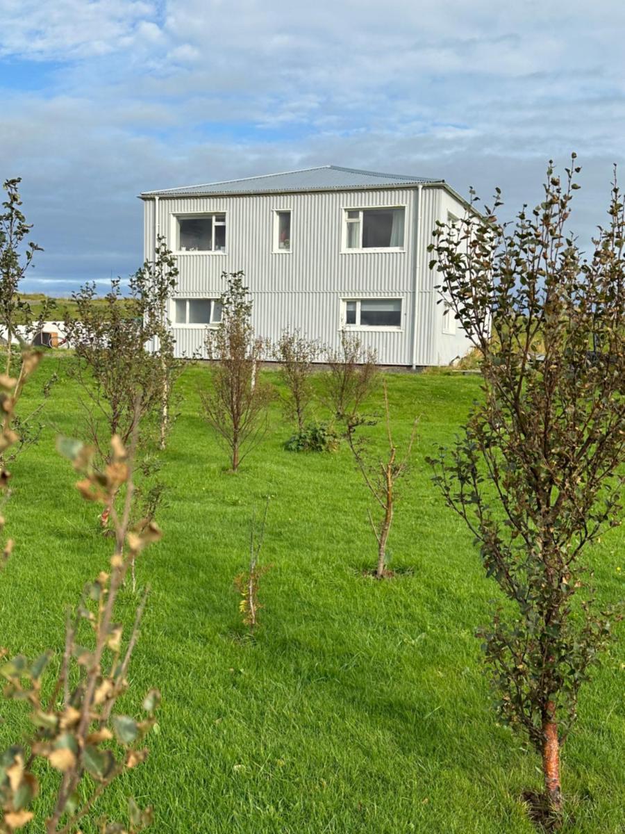 Selið Farm Stay - Guesthouse - Housity