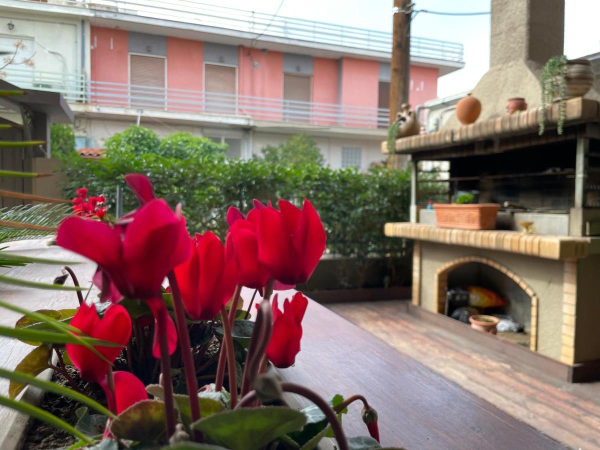 Triptolemus Stay Inn - Housity