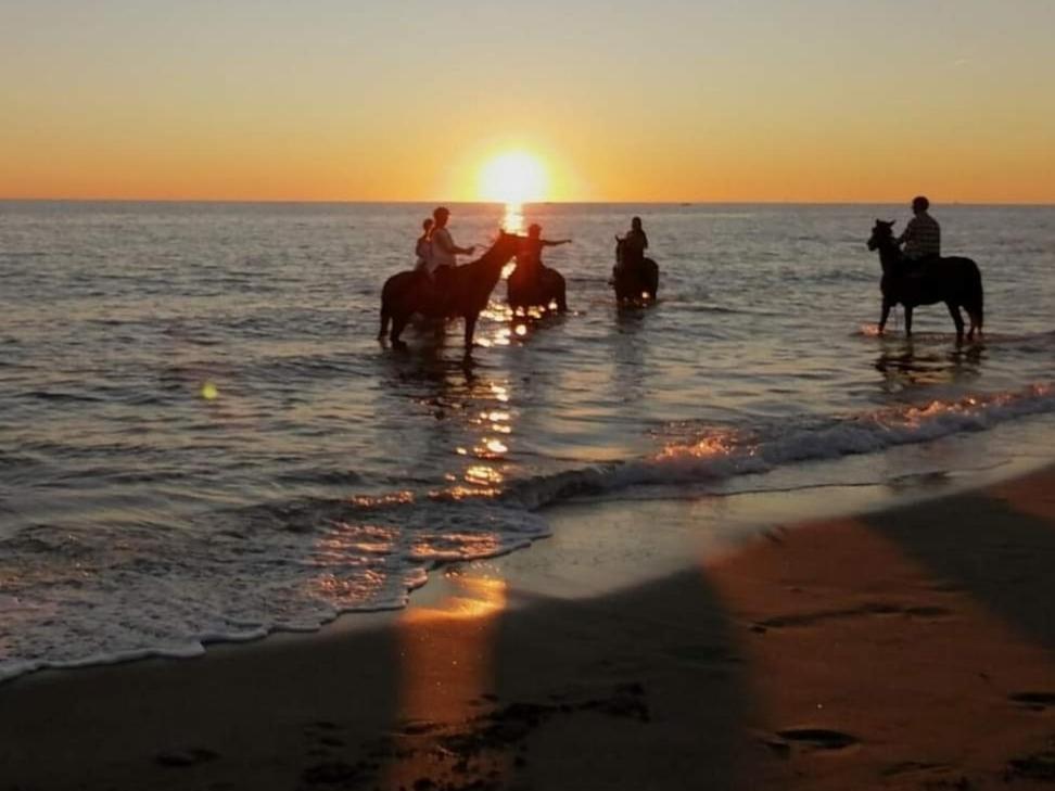 Mediterraneo Travel - Housity