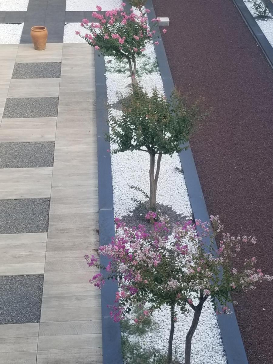 Antony Real - Housity
