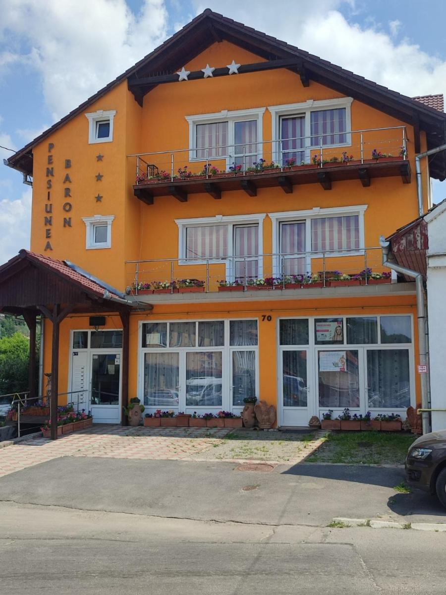 Pensiunea Baron - Housity