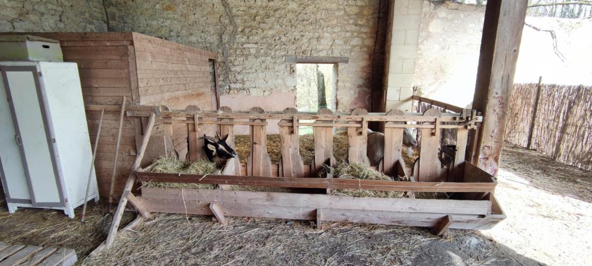 Grand gîte Verdonne (+30) - Housity