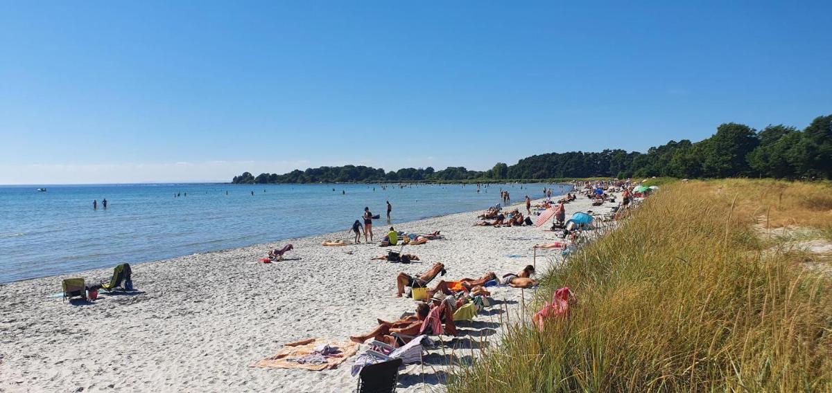 Njut av solen, havet, stranden! - Housity