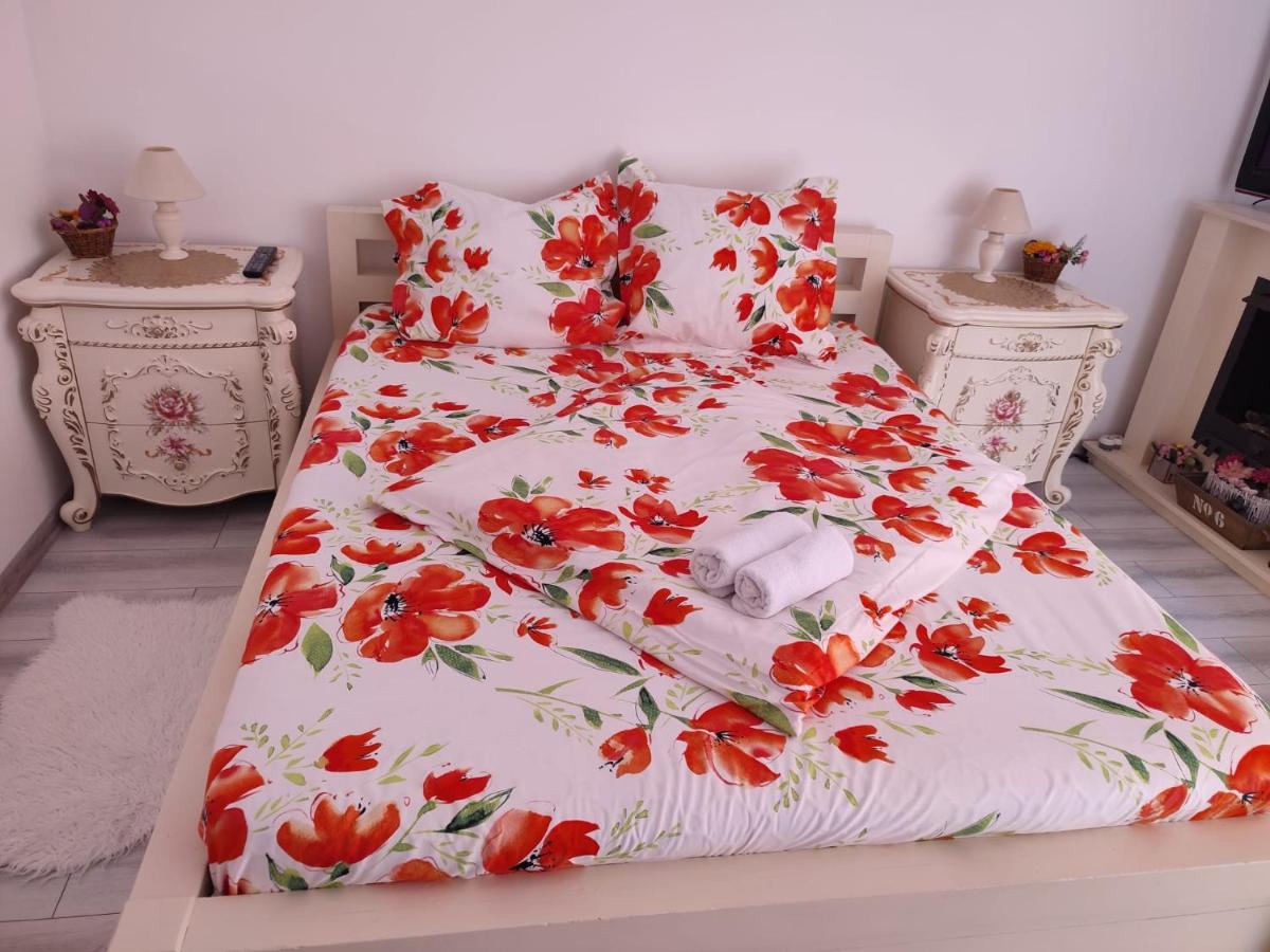 Pensiunea Baron - Housity