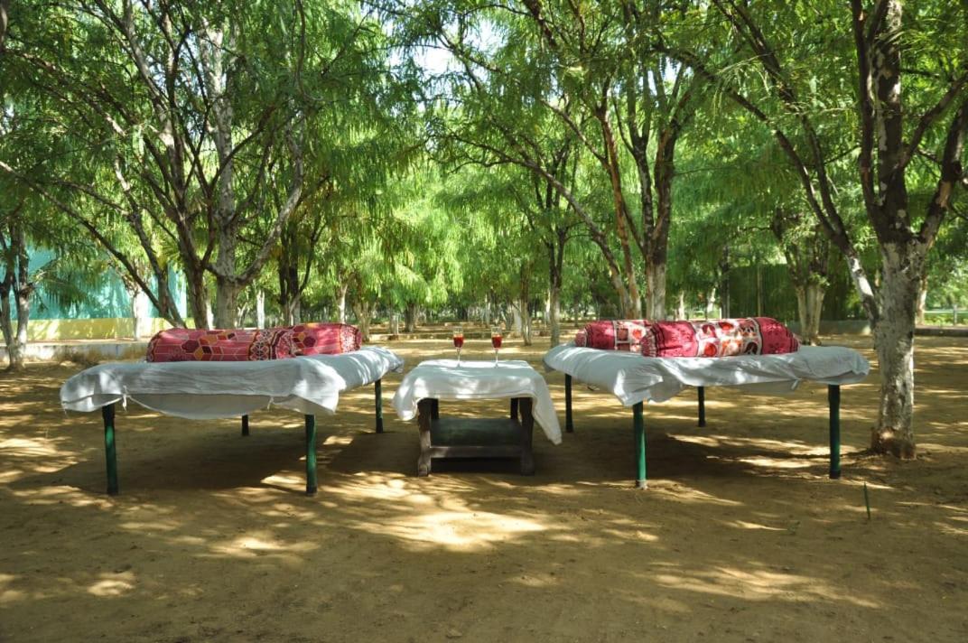 Matoshree Green Stay Sariska - Housity