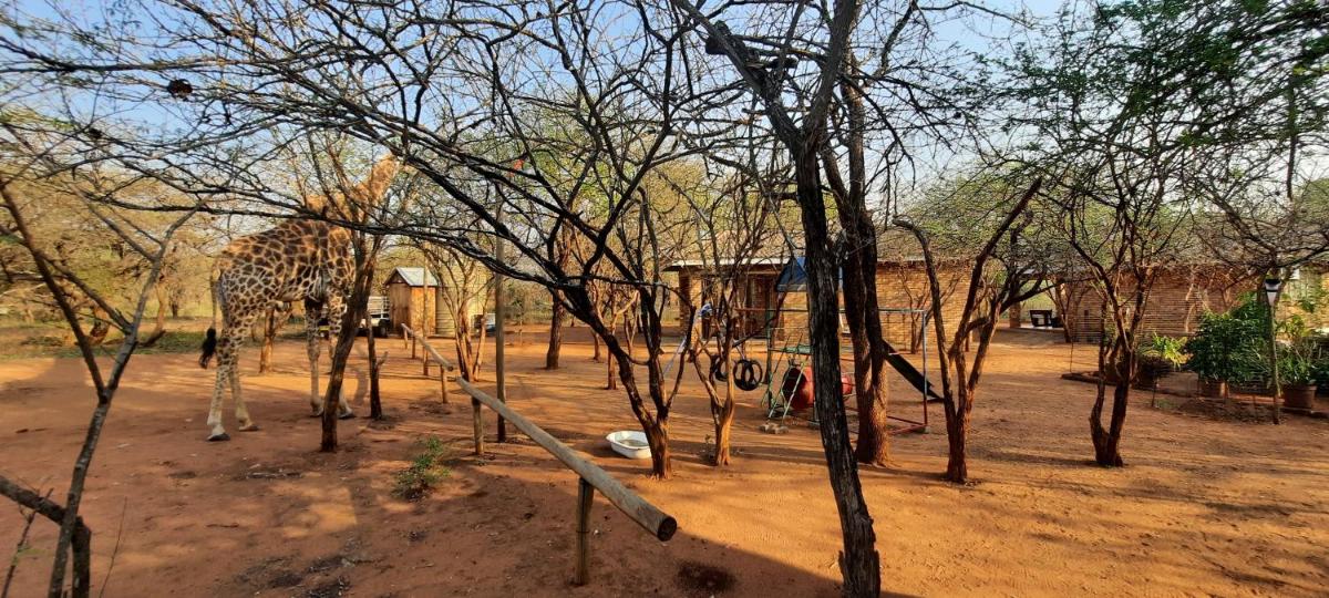 462 Bosbok Chalets - Housity