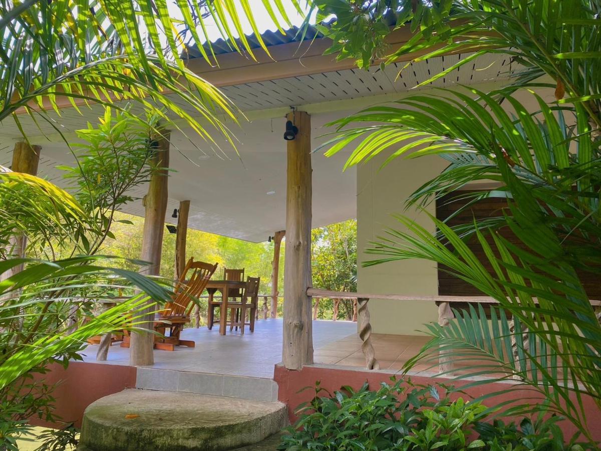 สสสส - Housity