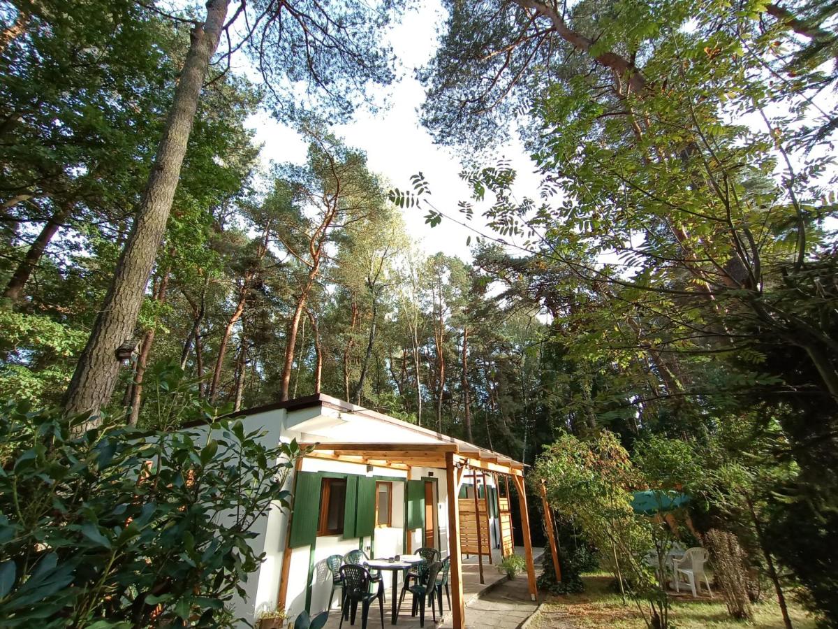Całoroczny leśny domek letniskowy do wynajęcia - Housity
