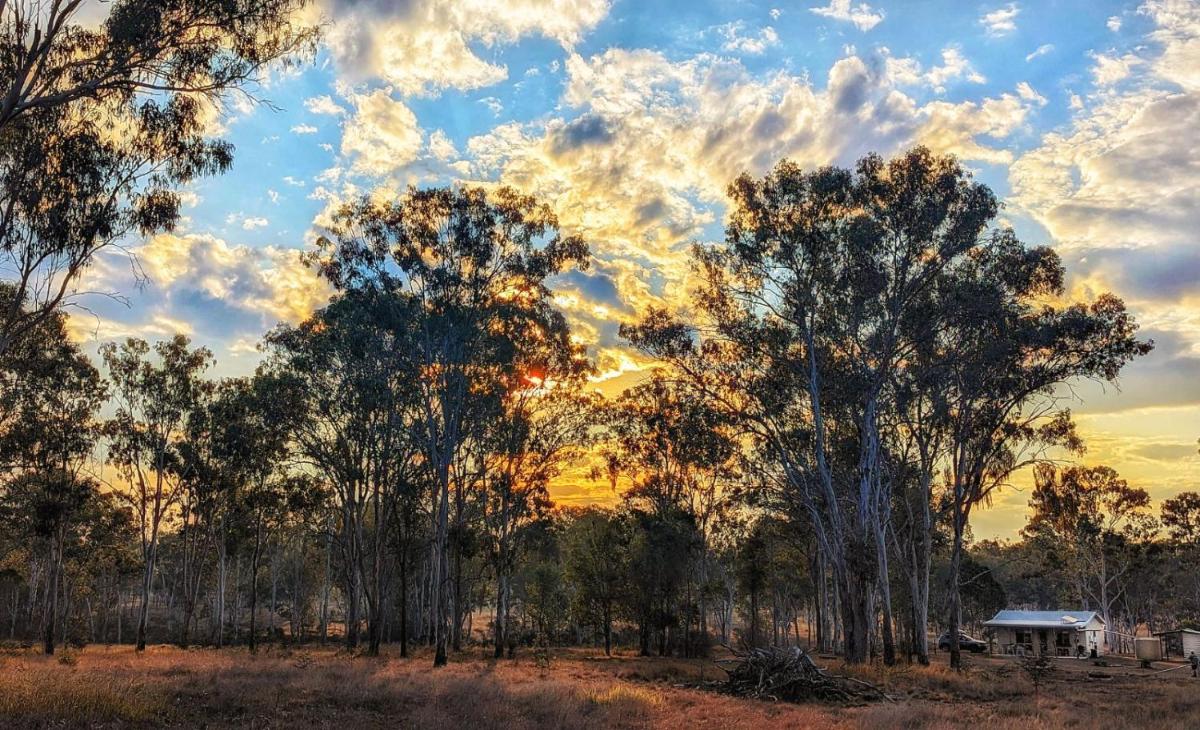 Blackbutt The Shack at Gilinlea - Housity
