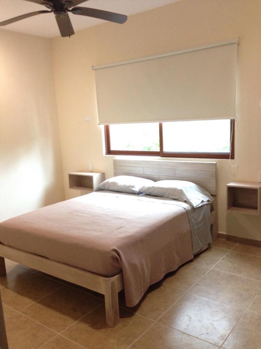 Selva Madre 203 - Housity