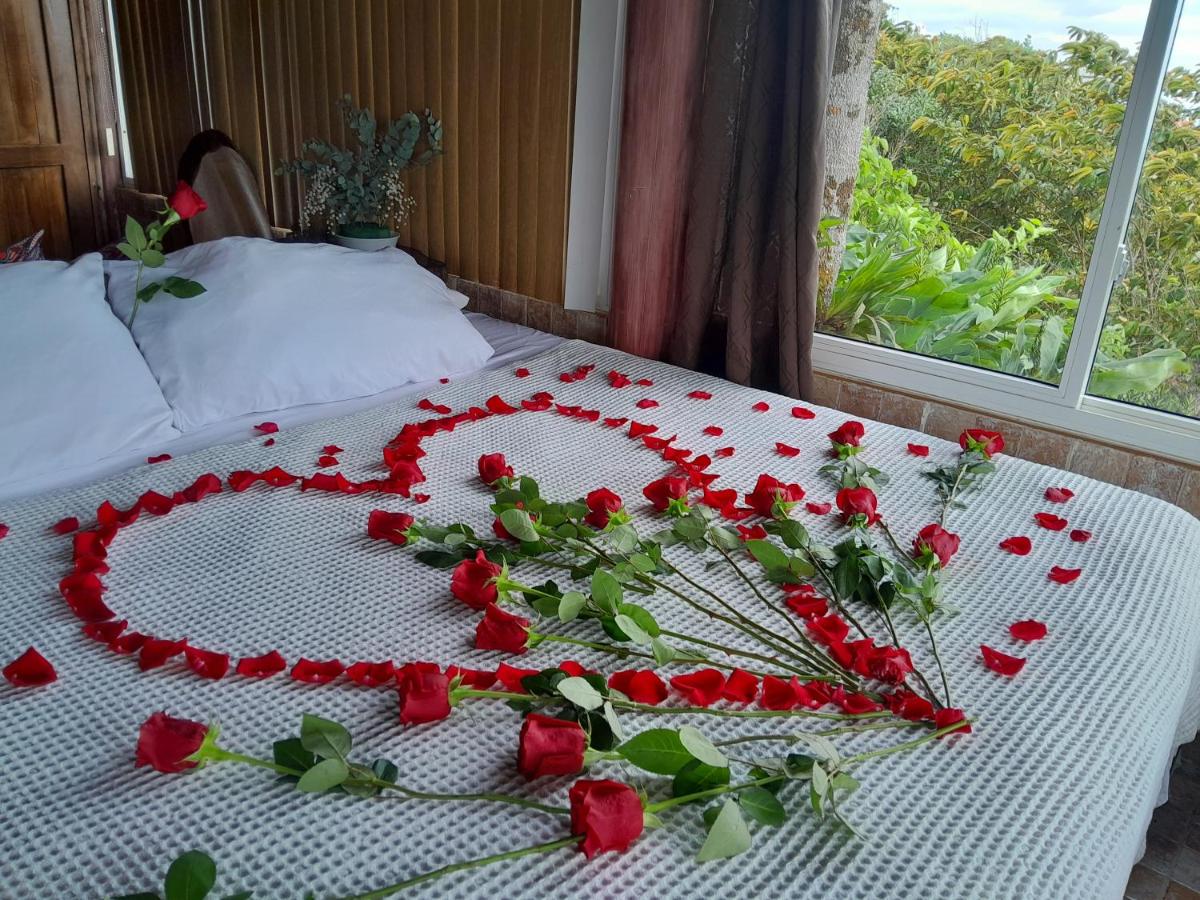 Mandalas Ecolodge - Housity