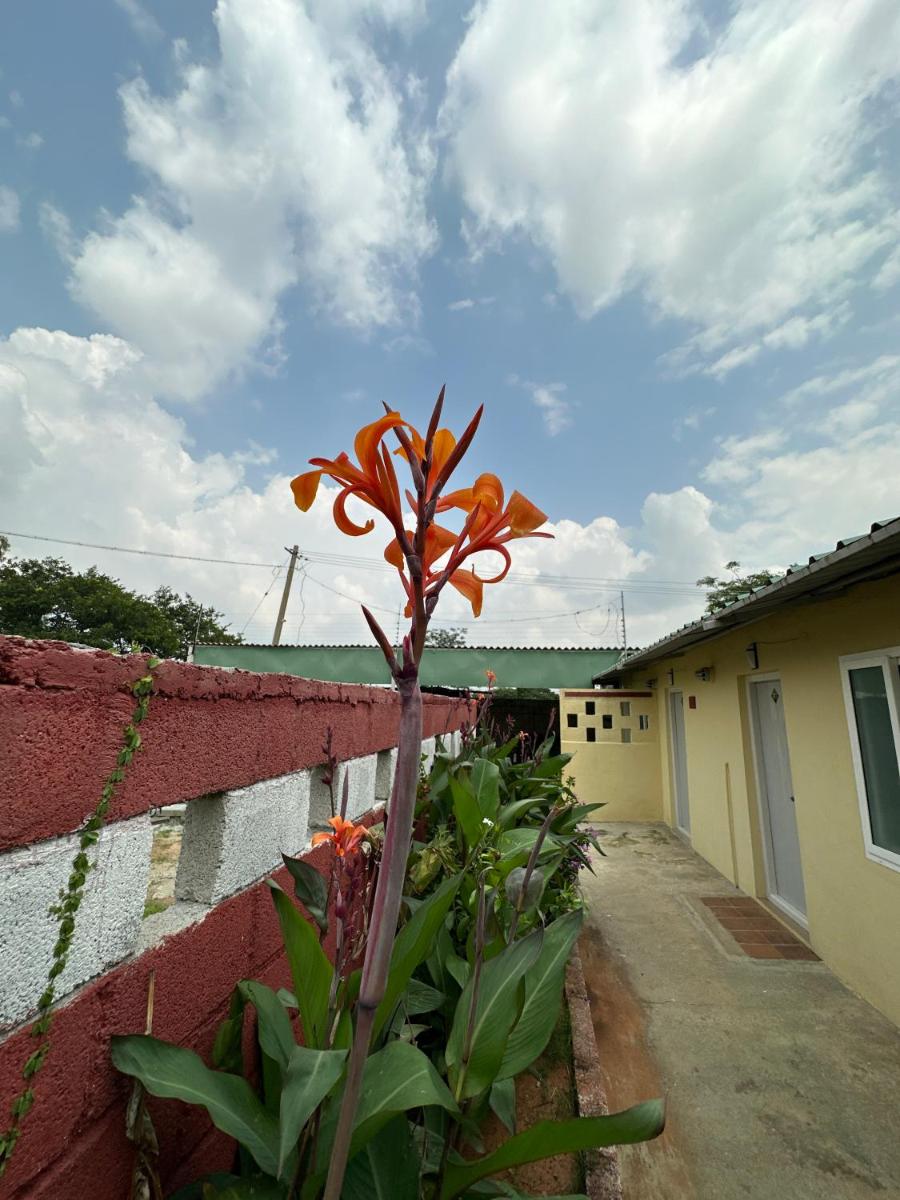 RAC Adventure Camp by Lexstays,Near Isha Foundation - Housity