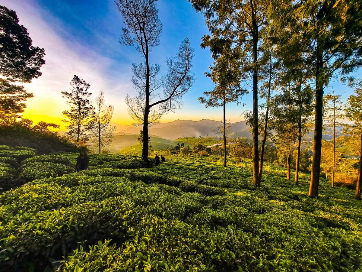Ghar - Homestay, Where Family Lives Together - Housity