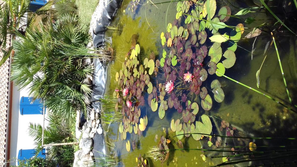 CALME ET NATURE PRES DE LA VILLE - Housity