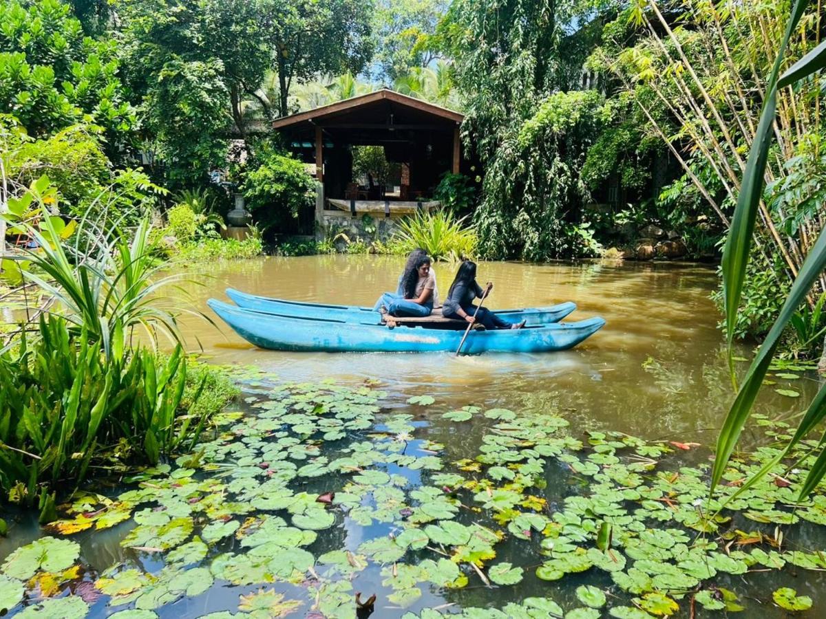 Wasala Nature Resort Radawana - Housity
