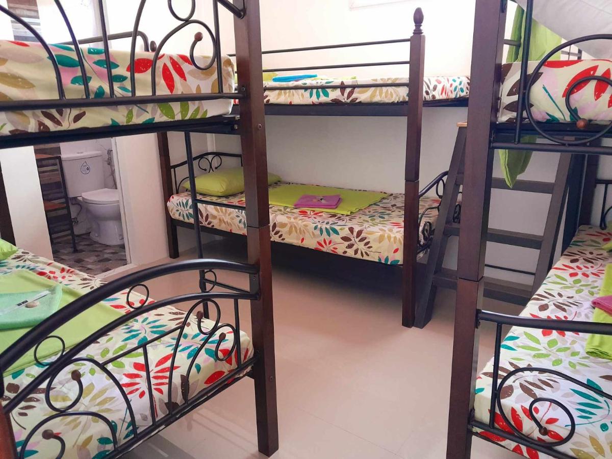 Liturs Travel Services / Homestay / Rent a Car - Housity