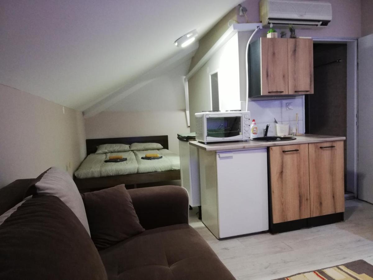 Blue Carpet Rooms - Housity